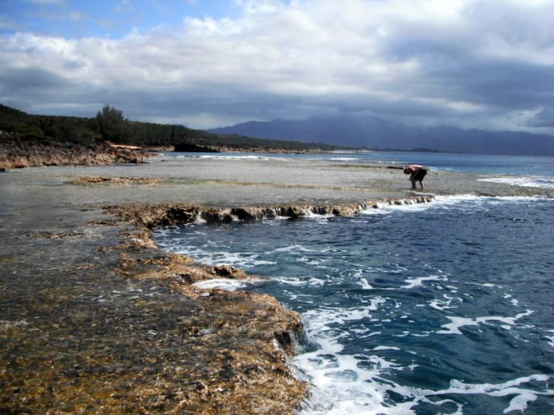 鲨鱼湾-Pupukea必去景点