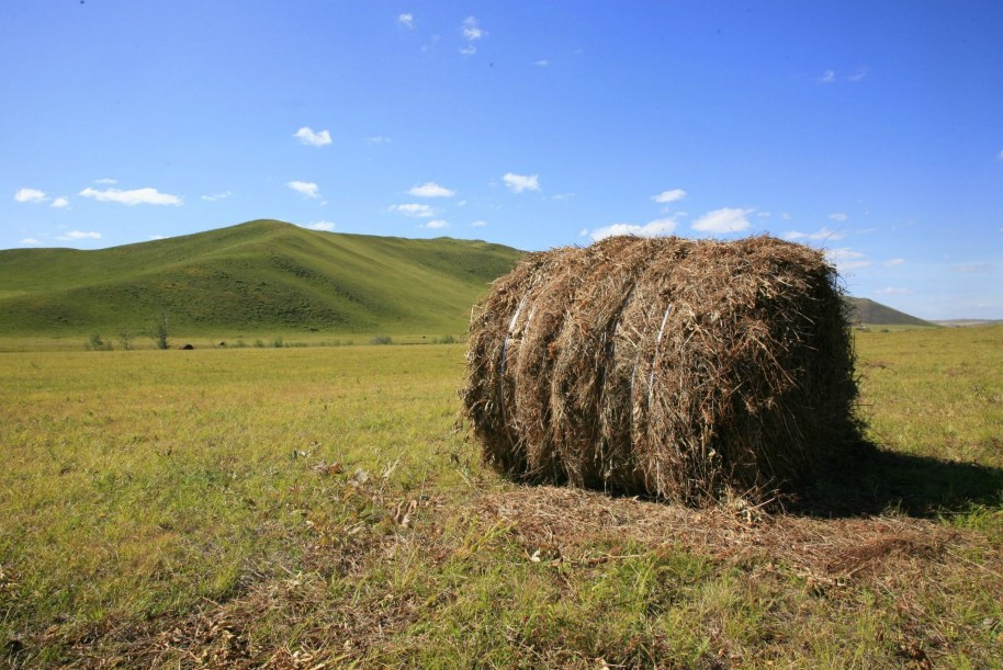 呼伦贝尔大草原-呼伦贝尔市必去景点