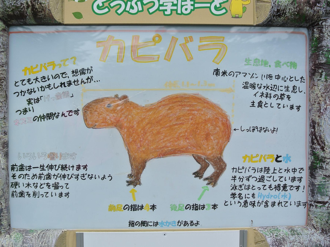 大森山动物园-秋田市必去景点