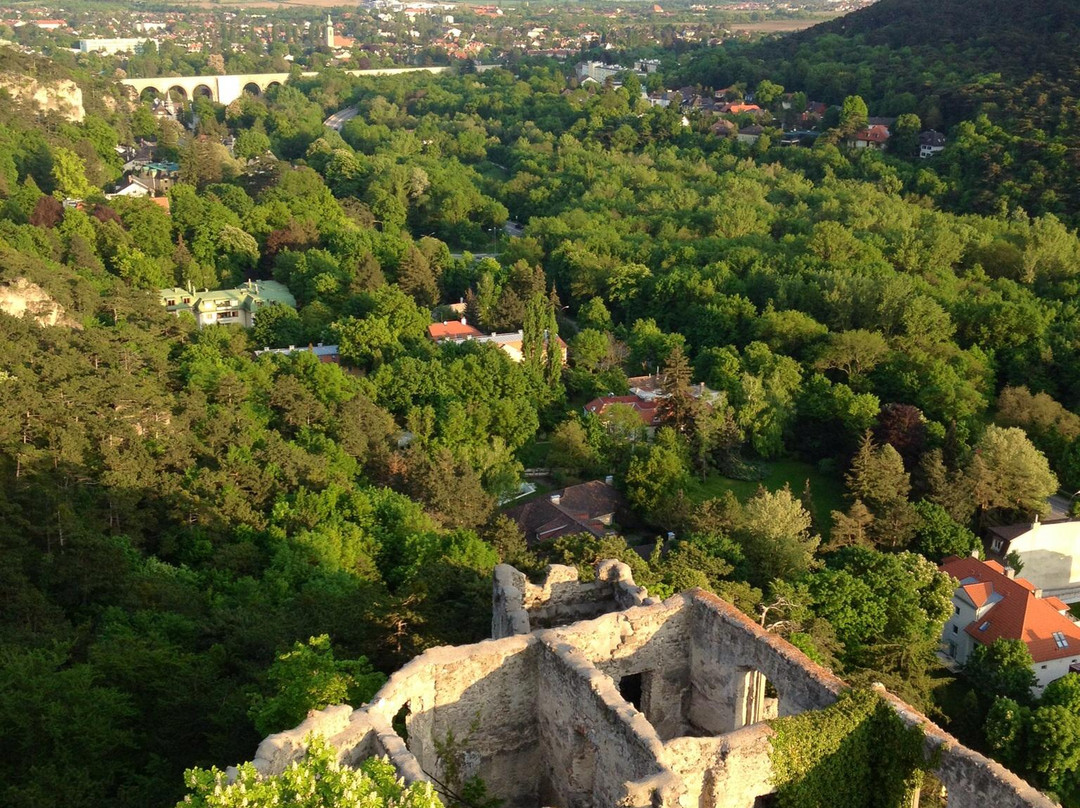 Burgruine Rauhenstein Castle-巴敦必去景点
