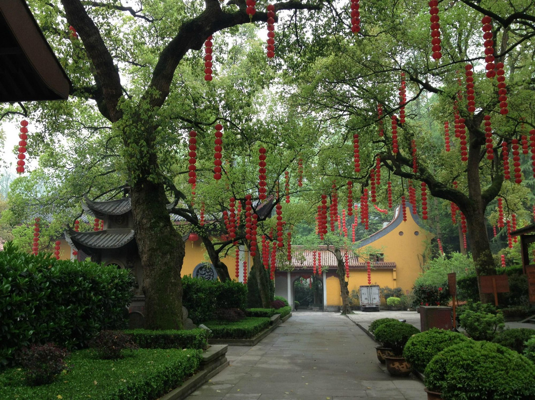 法喜寺景点图片