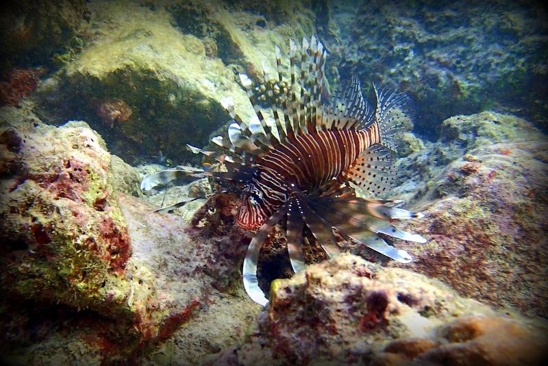 大皇帝岛-大皇帝岛必去景点