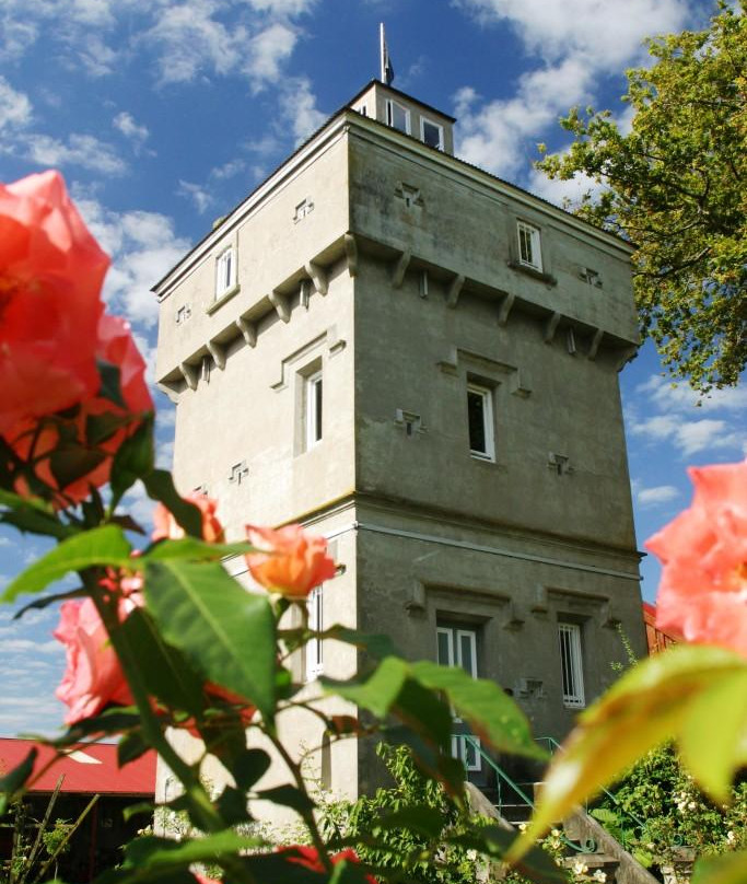 Firth Tower Museum-玛塔玛塔必去景点