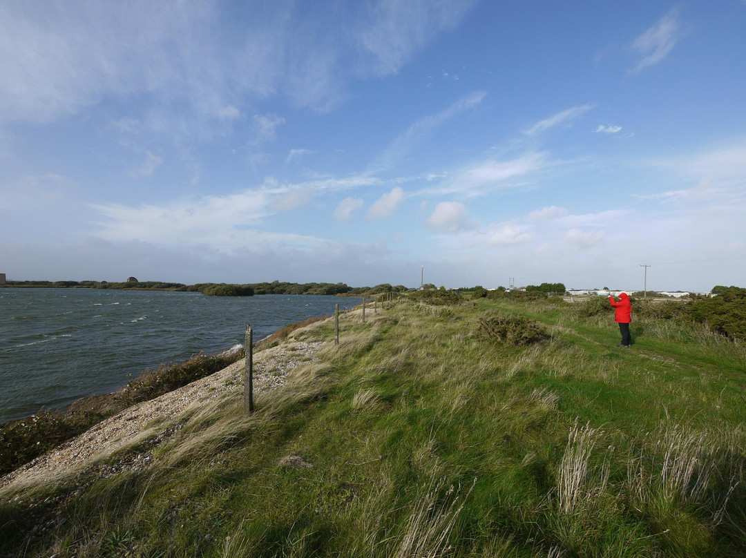 Dungeness National Nature Reserve景点图片