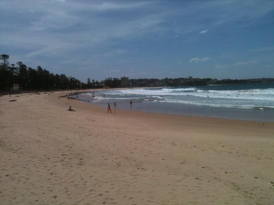 曼利海滩-悉尼必去景点