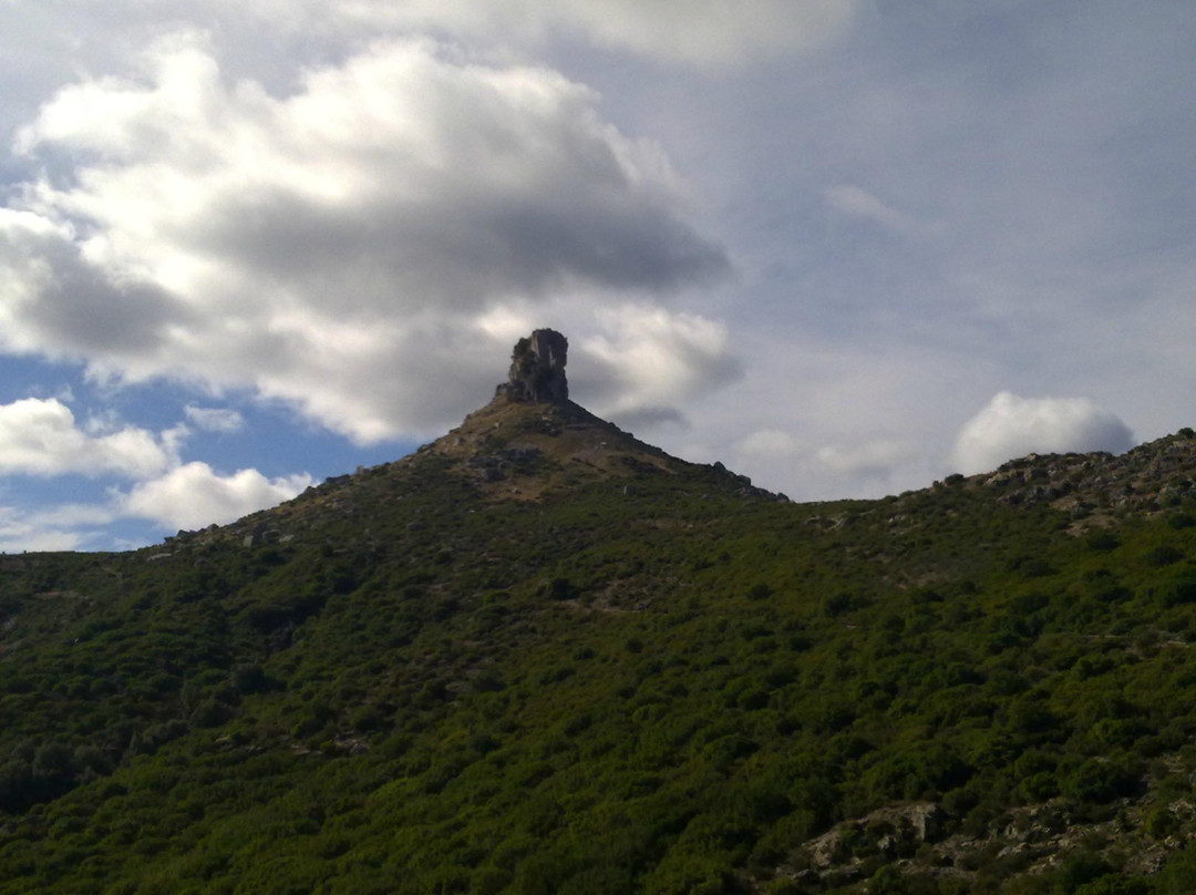 Seui旅游景点-Foresta di Montarbu