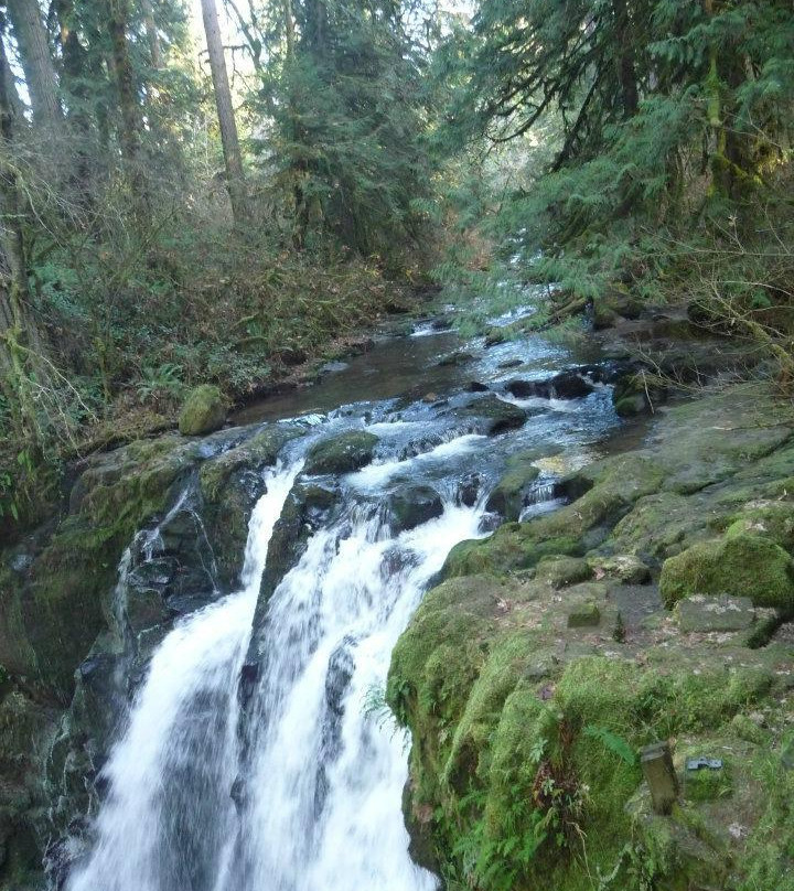 McDowell Creek Falls-Lebanon必去景点