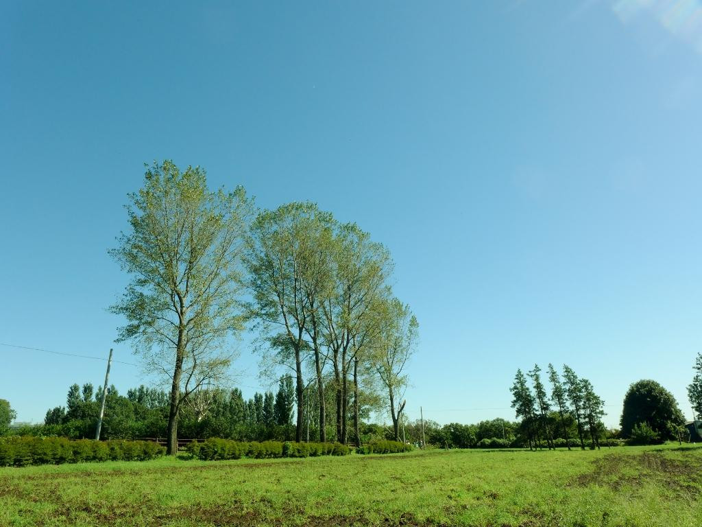 The University of Tokyo, Tanashi Forest-西东京市必去景点