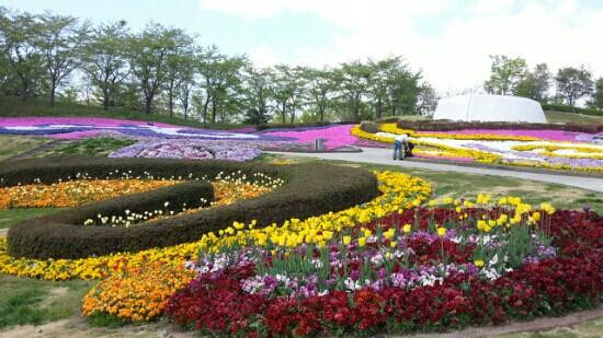 Michinoku Lakeside National Government Park-川崎町必去景点