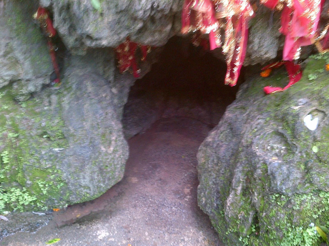 Nau Devi Temple景点图片