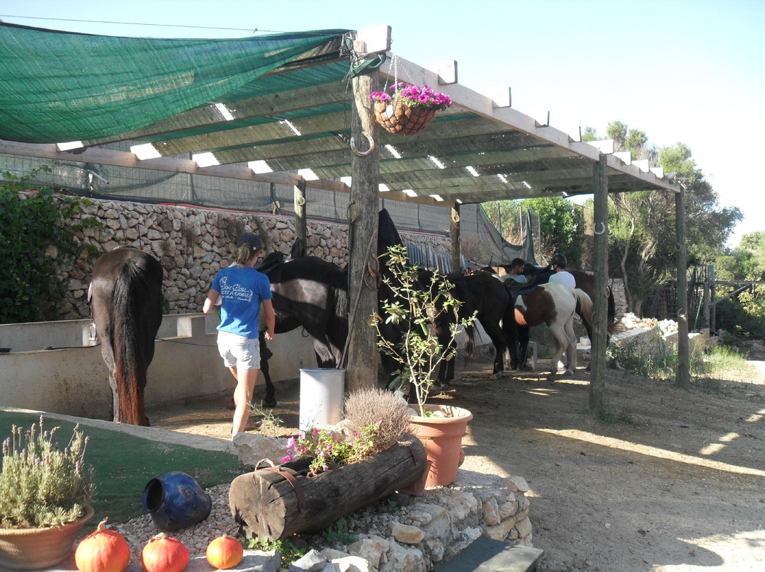 Son Bou Rutas A Caballo-阿拉约尔必去景点