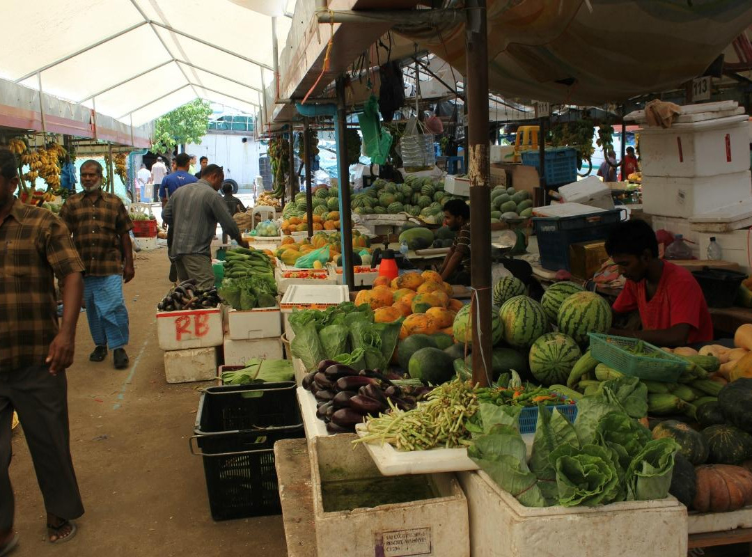 马累男士本地市场-马累必去景点