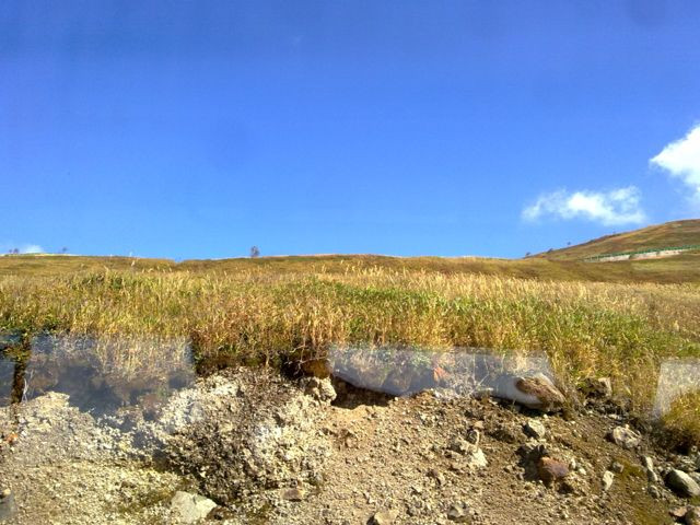 长白山生态植物园景点图片
