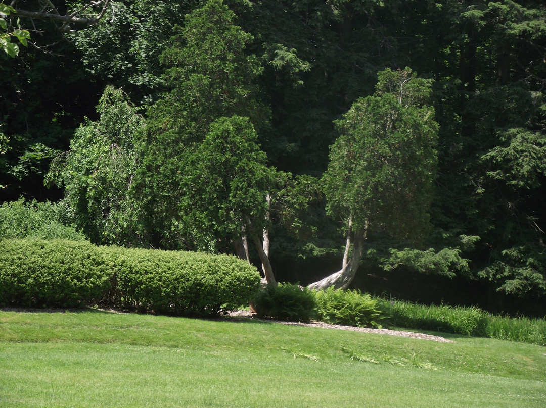 Tarrywile Park & Mansion-丹伯里必去景点