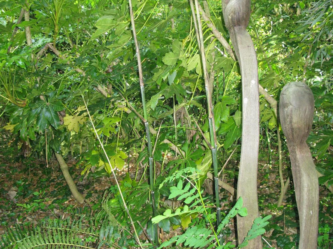 Wild Subtropical Garden-St Martin必去景点