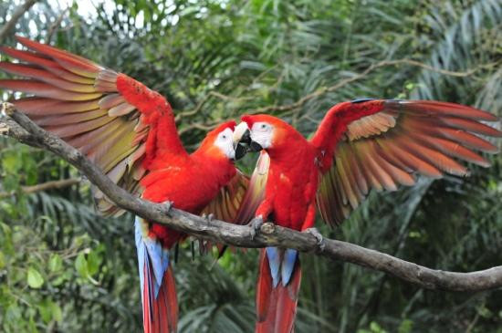 Natuwa Wildlife Santuary景点图片