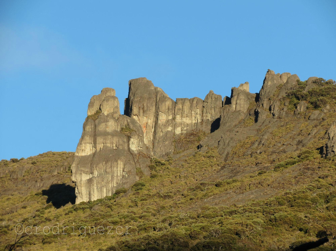 Chirripo National Park旅游攻略图片