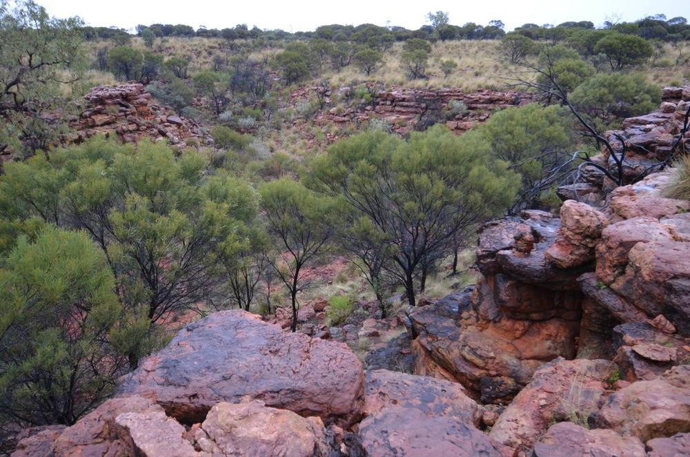Kings Canyon Tour - ATT kings-邦迪必去景点