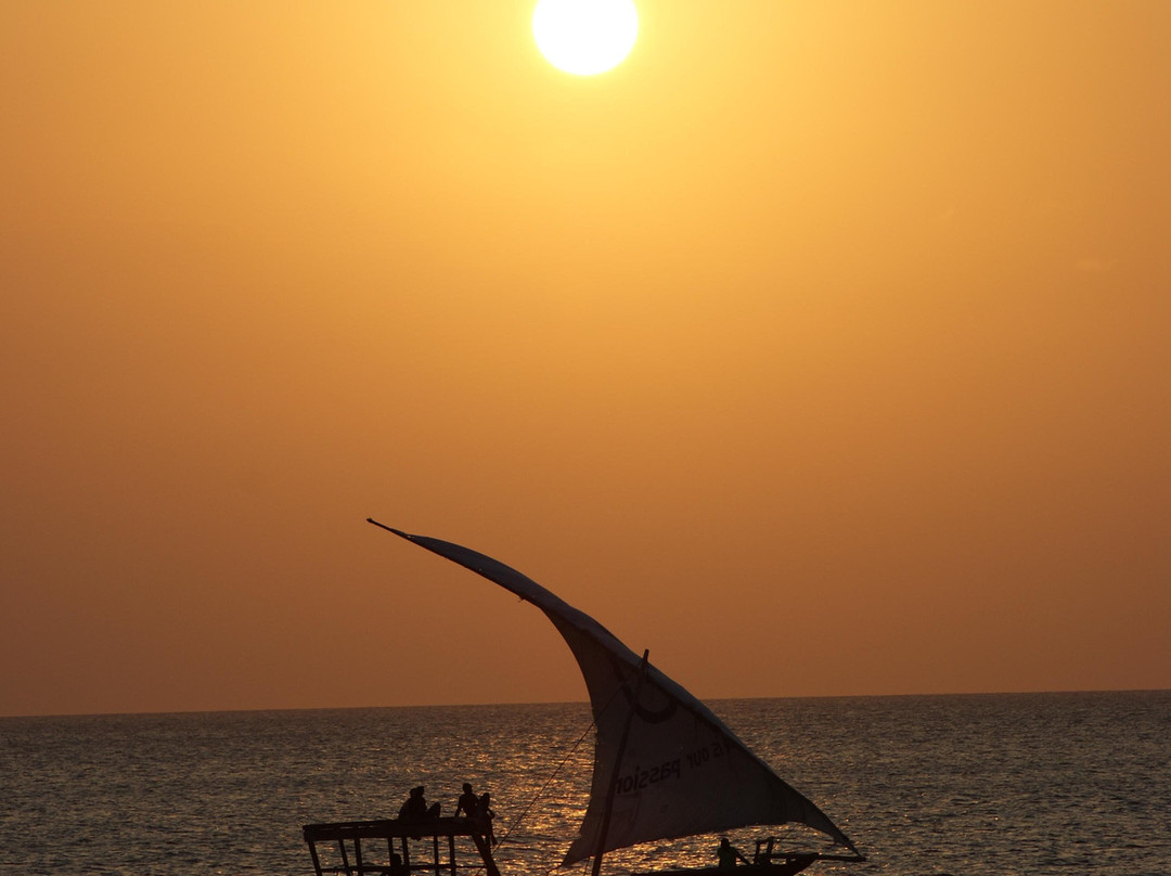 Nungwi Mnarani Aquarium-孥归必去景点