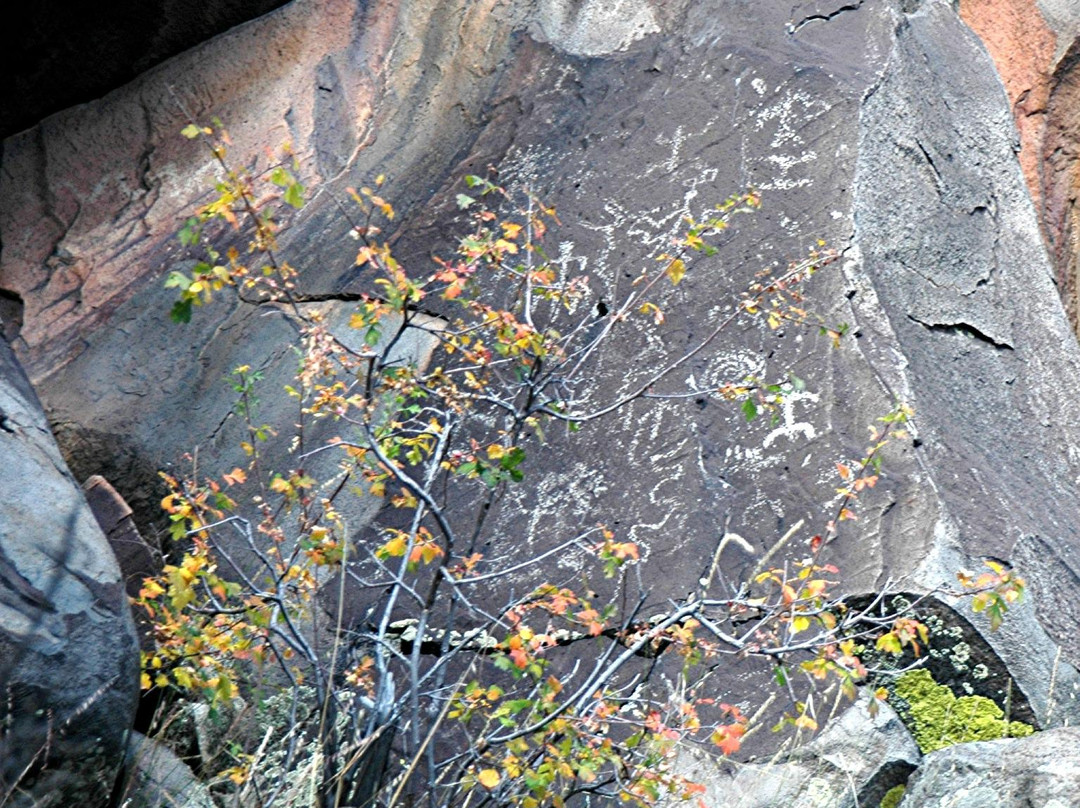 Beale Wagon Road Historic Trail-威廉姆斯必去景点