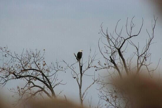 Resthaven Wildlife Area-Castalia必去景点