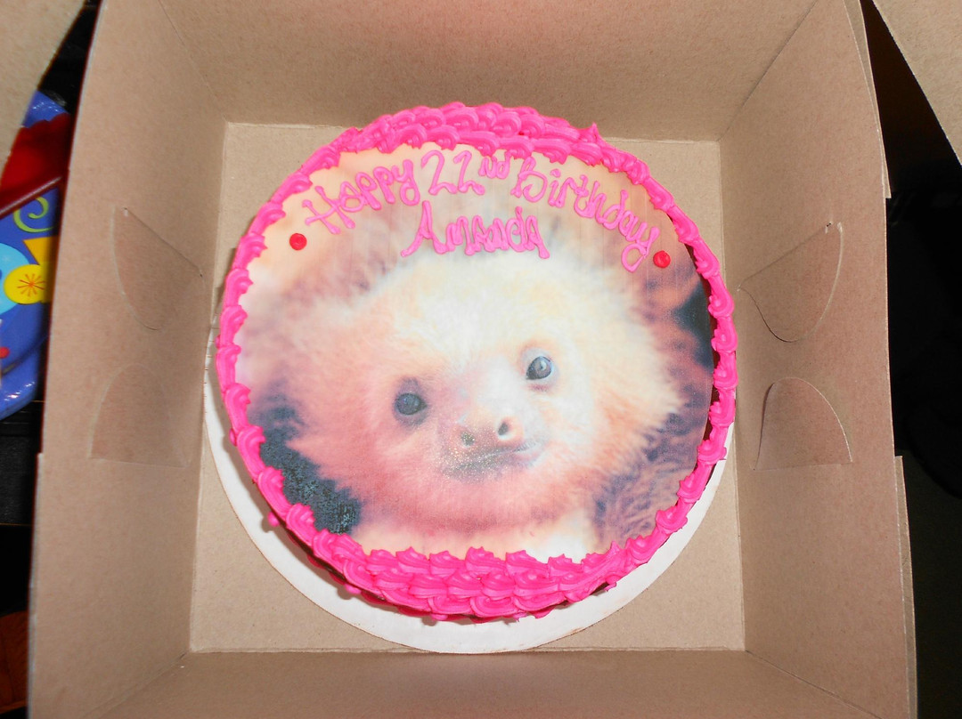 Sewickley餐馆和美食-The Ultimate Pastry Shop