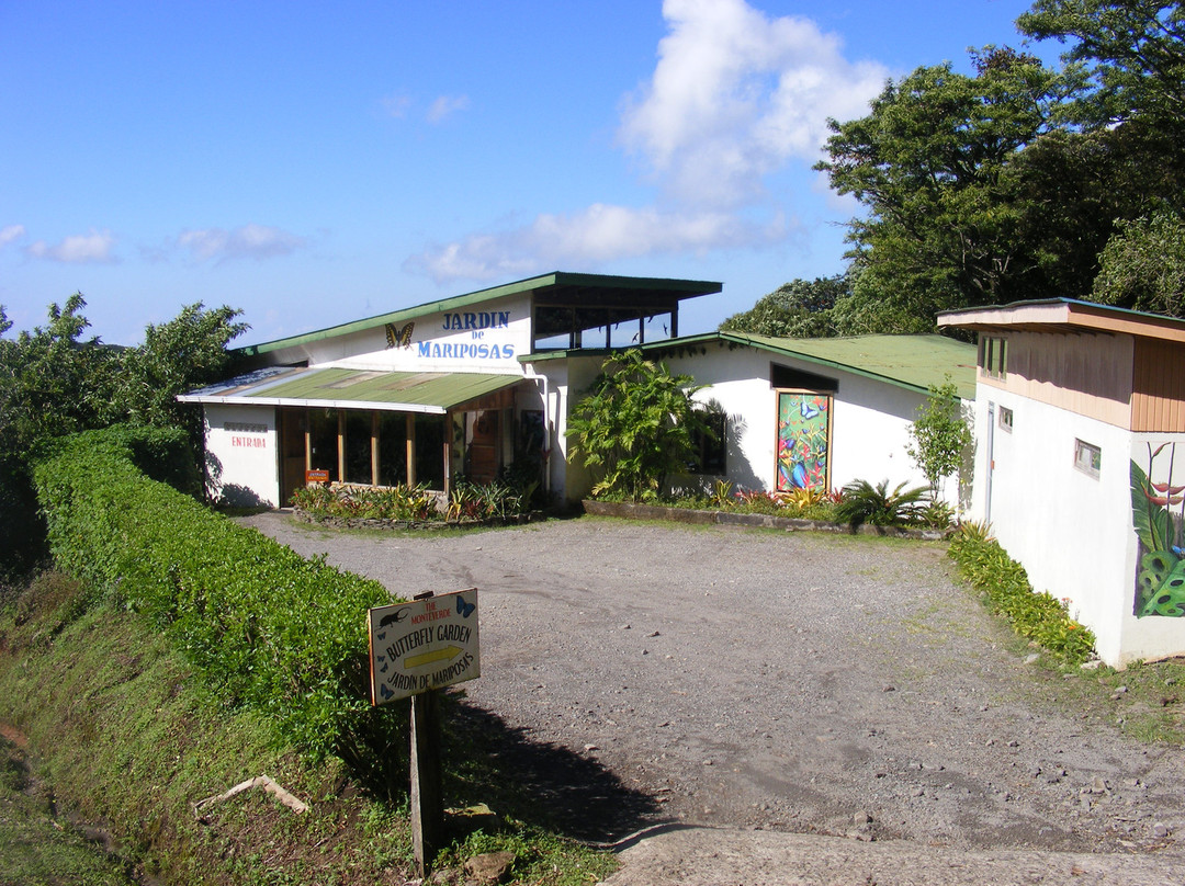 Monteverde Butterfly Gardens景点图片