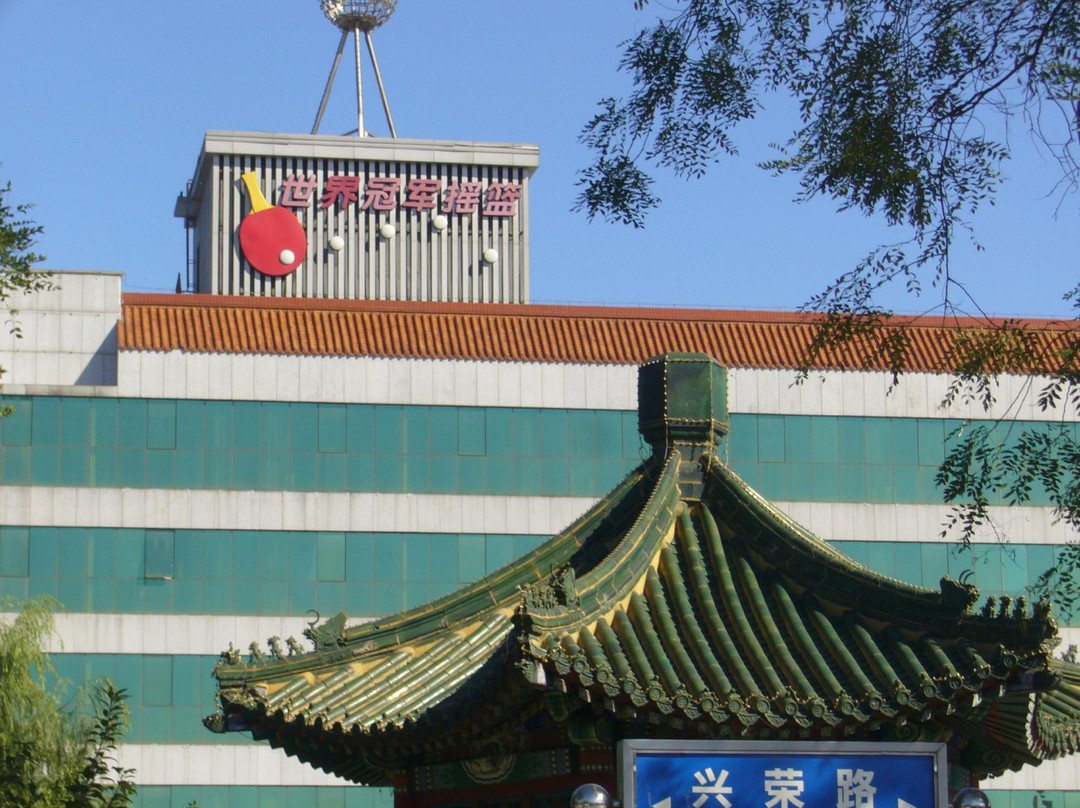 乒乓球训练基地景点图片