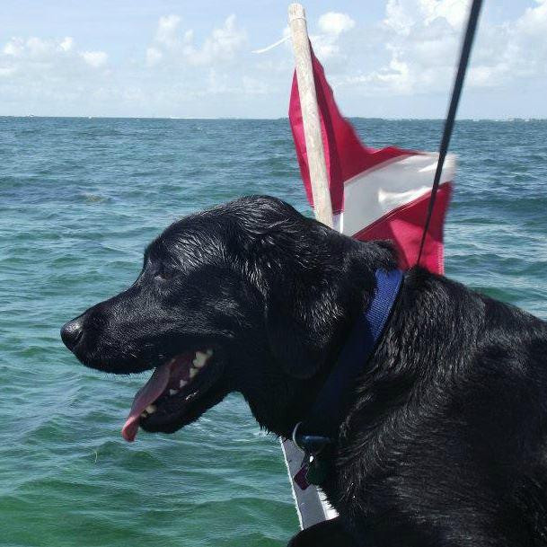 MiLo Watersports-Summerland Key必去景点