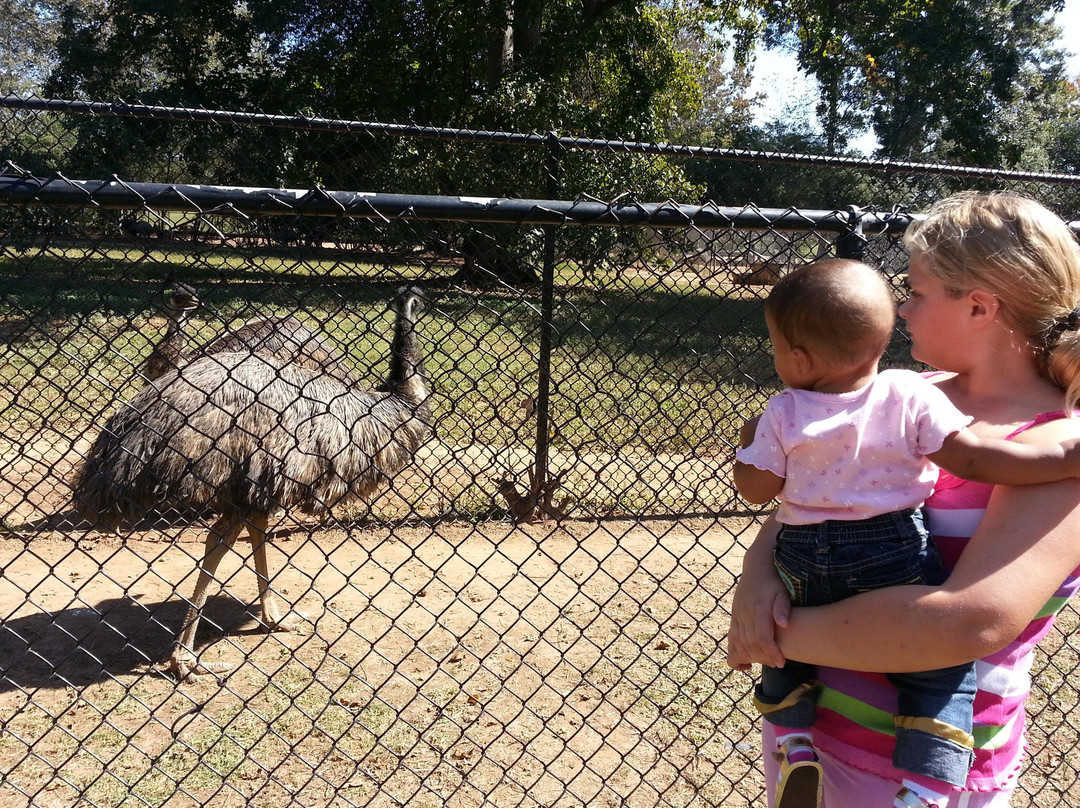 Noah's Ark Rehabilitation Center-Locust Grove必去景点