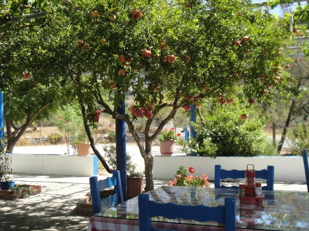 Pili餐馆和美食-Old Pyli Taverna