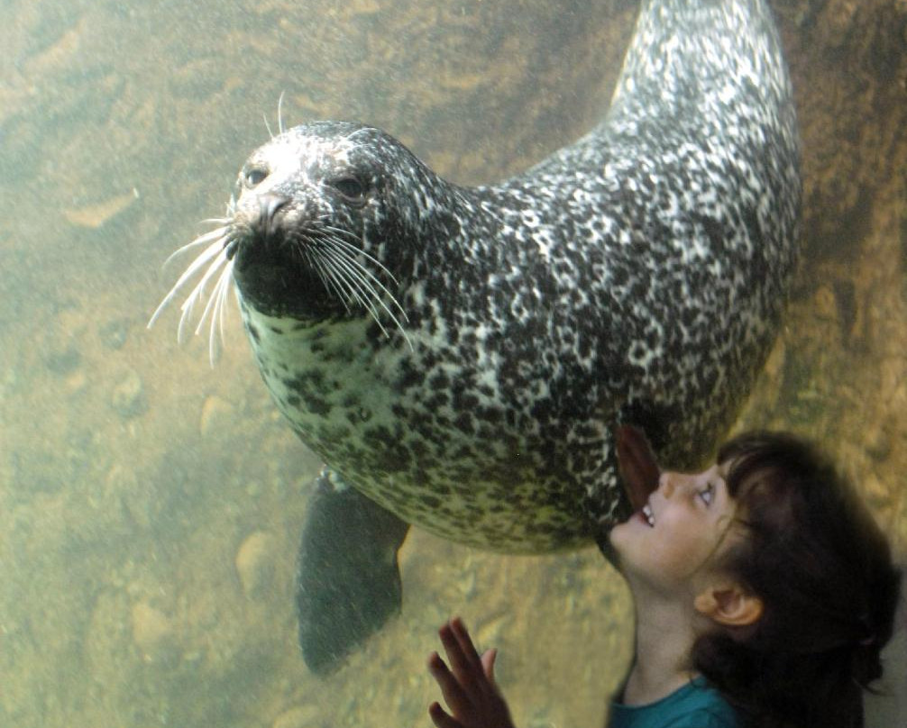 Huntsman Fundy Discovery Aquarium-Saint Andrews必去景点