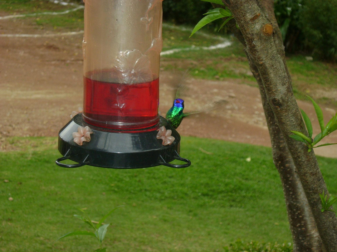 Centro Ecoturistico del Lago主图