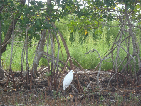 Shan-T Native Kayak Tours, Inc.-布雷登顿必去景点
