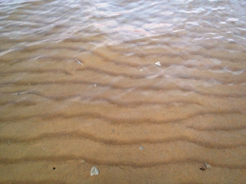 Mission Beach景点图片