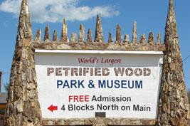 Petrified Wood Park景点图片