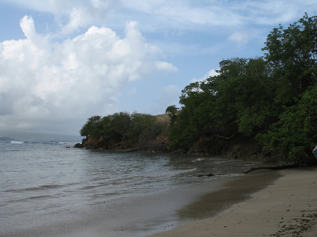 Presqu'ile de la Caravelle-Tartane必去景点