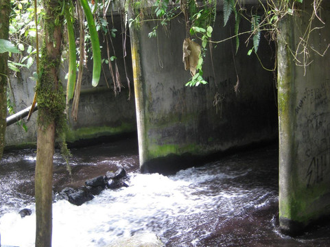 El Choyin-福德圣卡洛斯必去景点