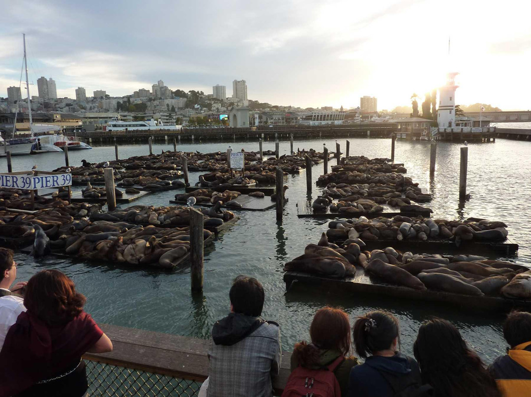 39码头-旧金山必去景点