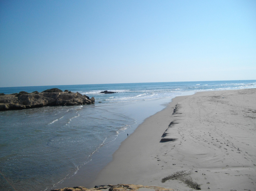 Playa de la Zenia景点图片
