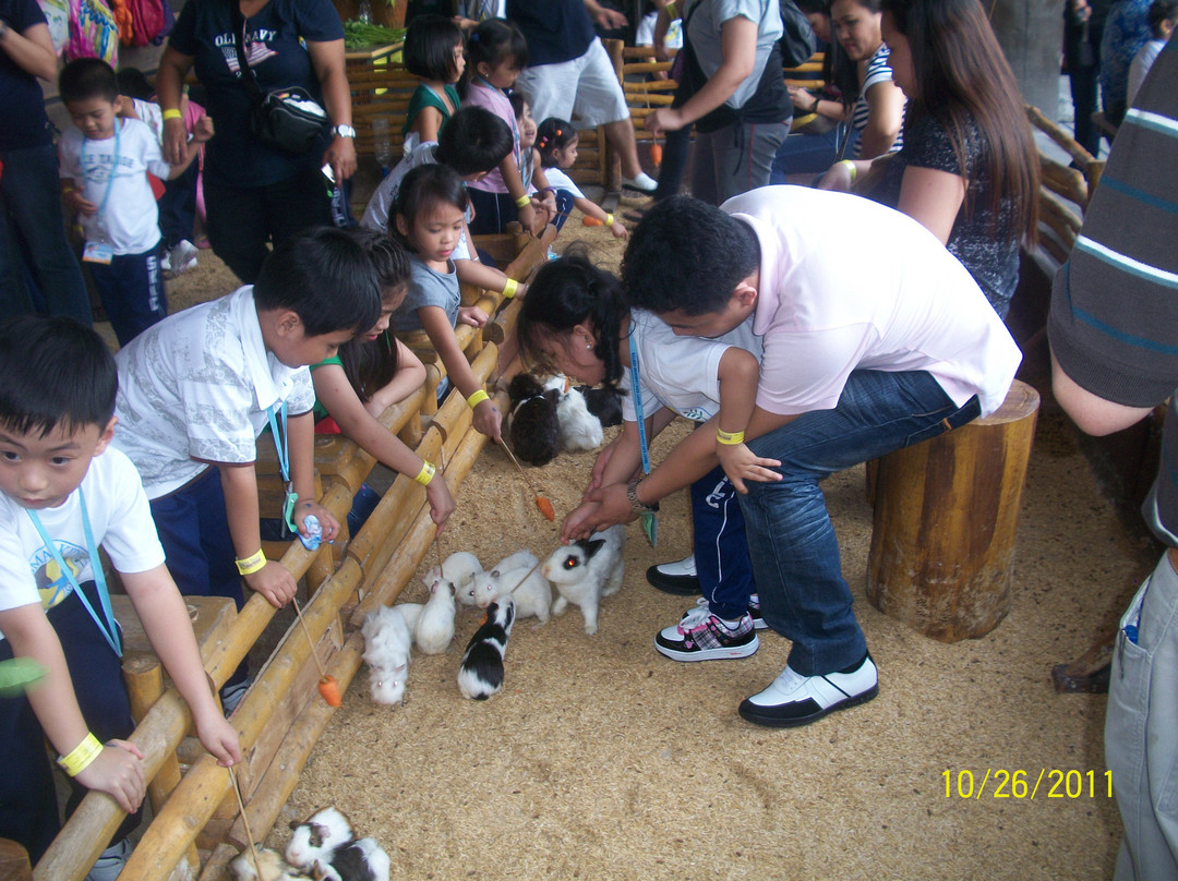 Ark Avilon Zoo-巴石必去景点