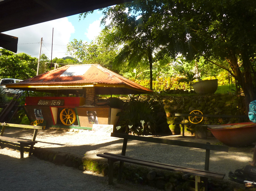 Screw's Sulphur Spa-多米尼克必去景点