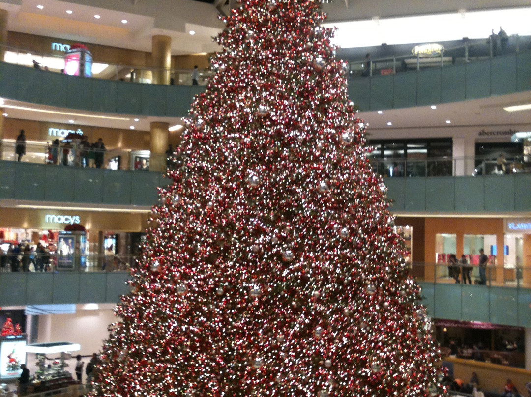 达拉斯商业街-达拉斯必去景点