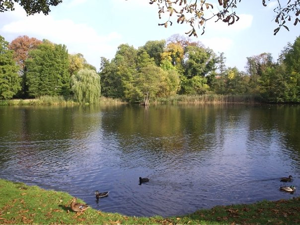 Potsdam Paradise Garden-波茨坦必去景点