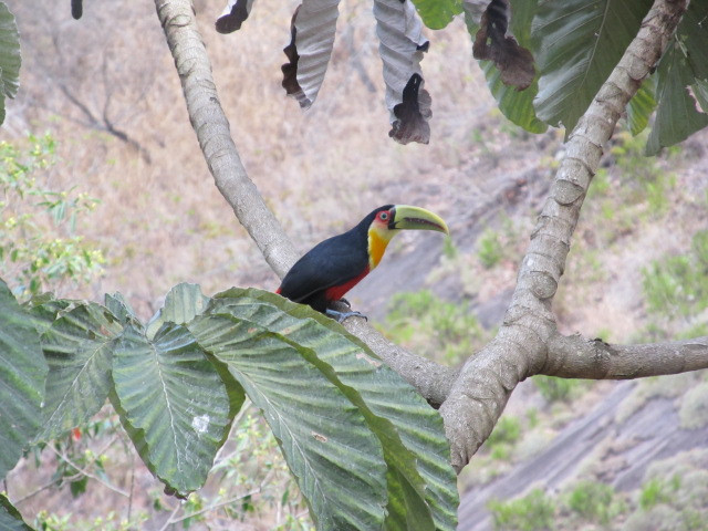 Solar Da Ponte Verde主图