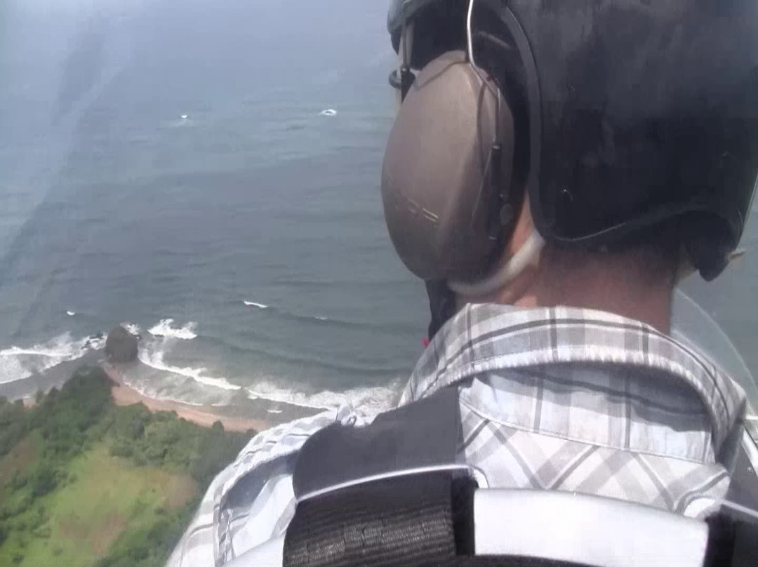 Fly with Us!景点图片