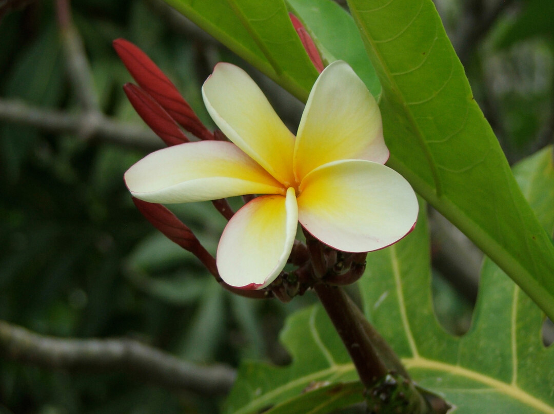 喷绘教堂-库克船长必去景点