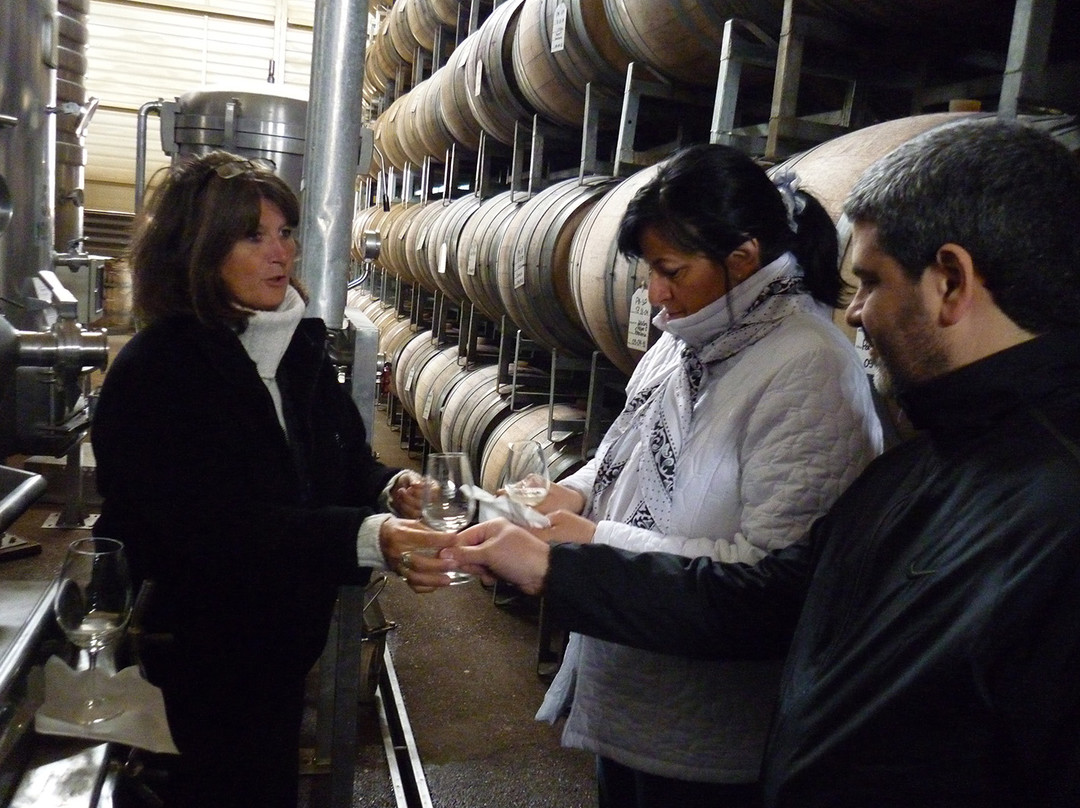 Vendimia Wine Tours-门多萨必去景点