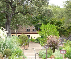 Stag's Leap Wine Cellars-纳帕必去景点