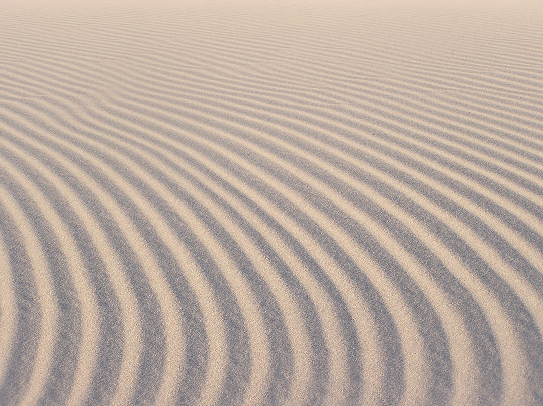 巴丹吉林沙漠-阿拉善右旗必去景点